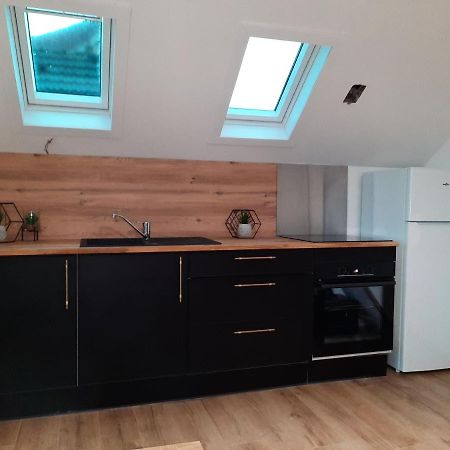 Luxury Suite Maladiere 2 Dijon Bagian luar foto